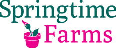 SW20_Springtime Farms_Logo_Stack.png